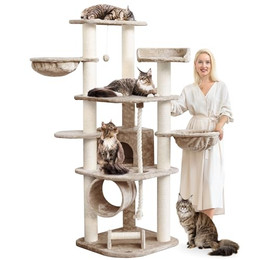 Produktbild von Happypet Kratzbaum Parker 171 cm