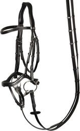 Harry's Horse Anatomic Reittrense für Pferde – Bild 1 von 3
