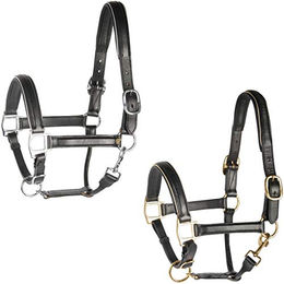 Harry's Horse Halfter Leder schwarz mit Paspelierung – Bild 1 von 5