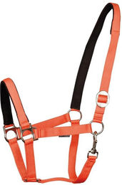 Produktbild von Harry's Horse Halfter Padded