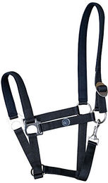 Produktbild von Harry's Horse Halfter Padded Pony