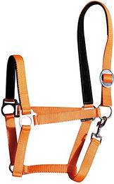 Produktbild von Harry's Horse Halfter Padded Pony