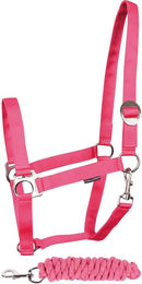 Produktbild von Harry's Horse Halsterset Initial Halfter und Longiergurt