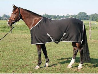 Produktbild von Harry's Horse Kühlendes Pferdehemd aus Jersey