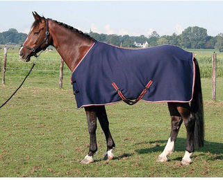 Produktbild von Harry's Horse Kühlendes Pferdehemd aus Jersey