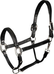 Produktbild von Harry's Horse Lederhalfter gepolstert