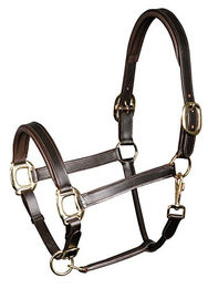 Produktbild von Harry's Horse Lederhalfter gepolstert