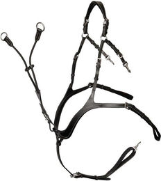 Produktbild von Harry's Horse Luxus-Vorderzeug Deluxe für Pferd