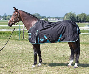 Produktbild von Harry's Horse Thor Outdoor-Decke für Pferde 0g mit Fleecefutter