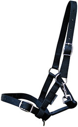 Produktbild von Harry's Horse Veulenhalfter schwarz