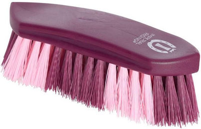 Produktbild von Harte Bürste 2 Farben Imperial Riding Dandy