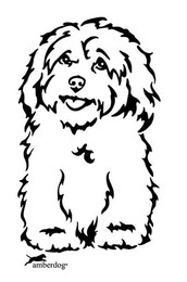 Produktbild von Havaneser Grafiklizenz