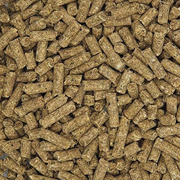 Produktbild von Havens Fohlen-Aufzucht Opti Grow - 25 kg