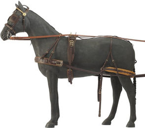 Produktbild von Hebegurt für 2-Rad-Auto Daslö