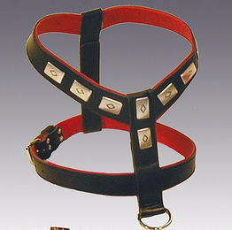 Produktbild von HEIM Geschirr Apollo mit Zierbeschlägen