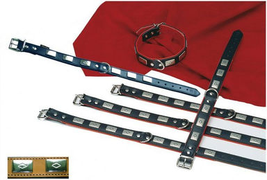 Produktbild von HEIM Hunde-Halsband Apollo mit Zierbeschlag
