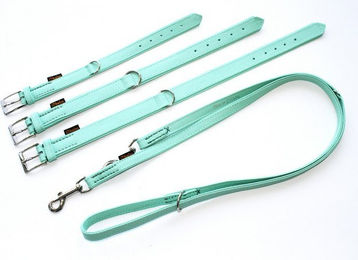 Produktbild von HEIM Hunde-Halsband und Führleine Colour mint