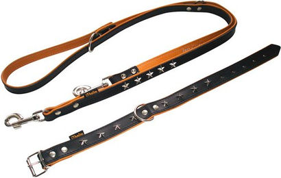 Heim Vorführleine Stars - 200 cm – Bild 1 von 4