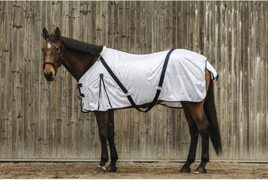 Produktbild von Hemd für Pferd Equithème