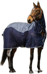 Produktbild von Hemd für Pferd Equithème