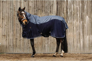 Produktbild von Hemd für Pferd Equithème combo