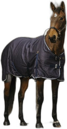 Produktbild von Hemd für Pferd Equithème Vague