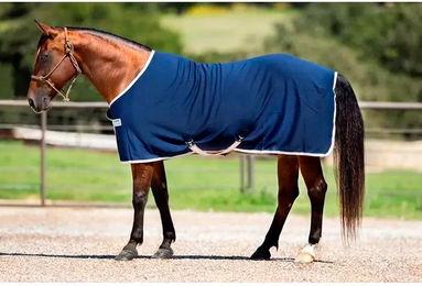 Produktbild von Hemd für Pferd Horseware Amigo Cooler