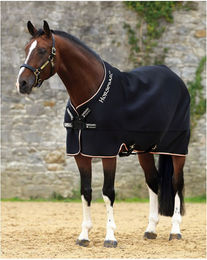 Produktbild von Hemd für Pferd Horseware Rambo Airmax Cooler Disc