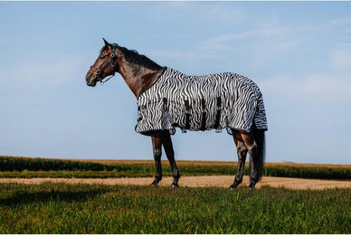 Produktbild von Hemd für Pferd Riding World Belly Mesh