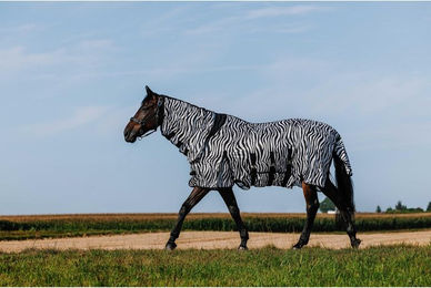 Produktbild von Hemd für Pferd Riding World Belly Mesh Combo