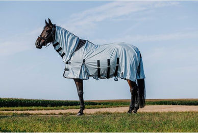 Produktbild von Hemd für Pferd Riding World Belly Mesh Combo