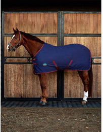 Produktbild von Hemd für Pferd Weatherbeeta