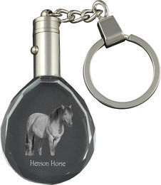 Produktbild von Henson Horse - pendant with a picture of a horse, crystal key ring in a gift box, unique gift by Art-Dog brand transparent
