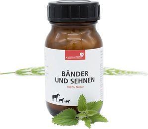 HerzensTier BÃ¤nder und Sehnen – Bild 1 von 2
