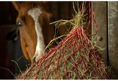 Produktbild von Heunetz Hippotonic Zari