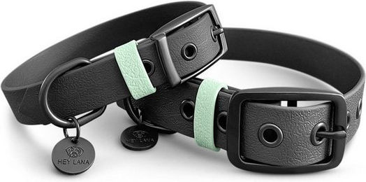 Produktbild von Hey Lana Hunde-Halsband Outdoor SPORT Wasserfest Schwarz/Mint