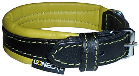 Produktbild von HHB Coneck´t Leder Halsband schwarz/grün