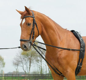 Produktbild von Hilfszügel BU Dreieckszügel, Basic