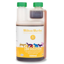 Hilton Herbs LBM Solution for Dogs - 500 ml – Bild 1 von 6