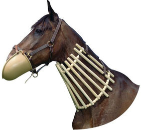 Produktbild von Hippotonische Halskette aus Holz