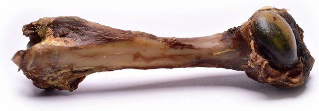 Produktbild von *Hirschknochen Größe M