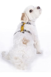 Produktbild von HKM ANAM Cara Hundegeschirr Taupe/Goldgelb S