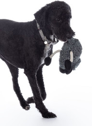Produktbild von HKM Dogs Tierkuscheltier Buddy Sheep