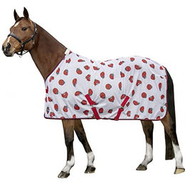 HKM Fliegendecke Ladybug – Bild 1 von 4