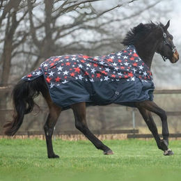 Produktbild von HKM Highneckdecke Norwich 600D 300g