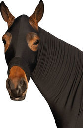 HKM Sleezy – Bild 1 von 3