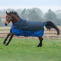 Produktbild von HKM Weidedecke Chester 600D 100g