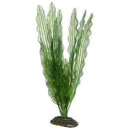 Hobby Aponogeton künstliche Aquarienpflanze 39 cm – Bild 1 von 2