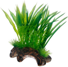 Produktbild von HOBBY Aquariendeko Flora Root 1 S 17 cm