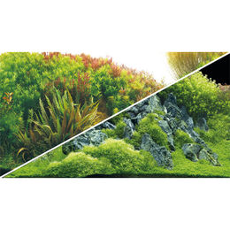 HOBBY Aquariendeko Fotorückwand Planted River/Green Rock 120x50 cm – Bild 1 von 6